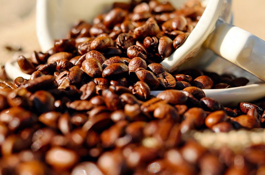 Café ADEX prensa 1