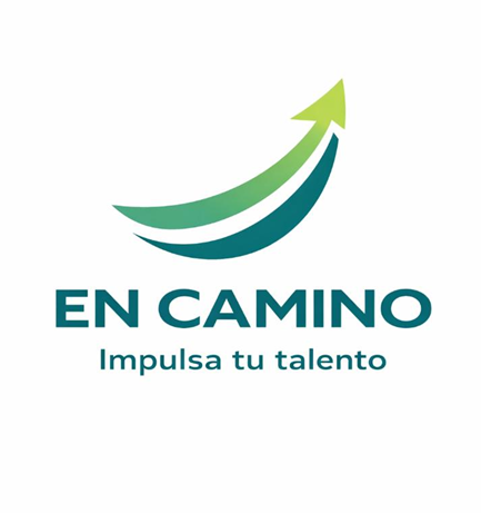 «EN CAMINO»: Nace la primera marketplace puneña que conecta emprendedores y productores locales con toda la macro región sur